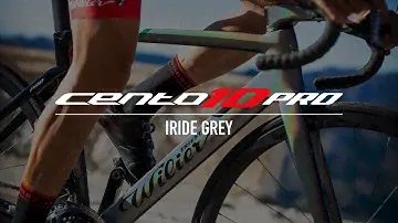 Wilier Triestina Cento10PRO | Iride Grey