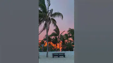В Майами закат 🌅 почему они здесь такие красивые 😍