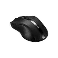 Мышь Canyon MW-5 CNE-CMSW05B-2