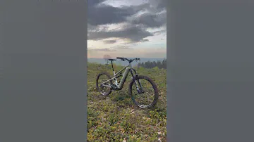 2024 Canyon Strive:ON closeup
