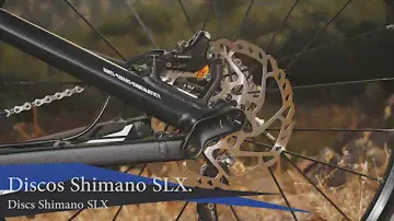 Test Canyon Nerve AL 7.0 2014