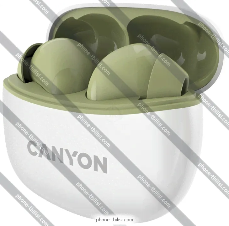  Canyon CNS-TWS5GR -   , .-0