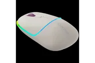 Двухрежимная беспроводная мышь Canyon MW-22 CNS-CMSW22RC
