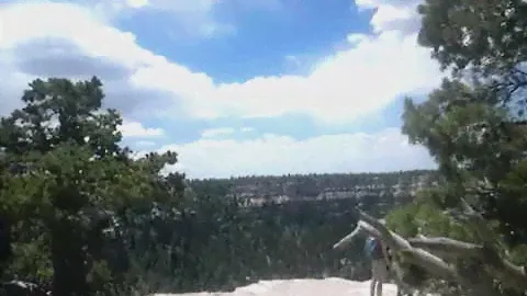 the Grand Canyon 4