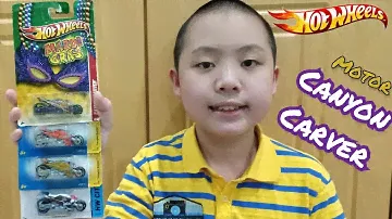 Hot Wheels Canyon Carver Mardi Gras Motor Collections review