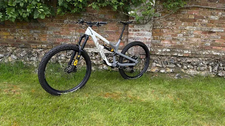 2023 Canyon Spectral FW29 Fabio Wibmer Special Edition Öhlins Sram T-Type XO AXS - Bike Check -