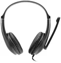 Компьютерная гарнитура Canyon basic PC headset with microphone (CNS-CHSU1B) в Москве