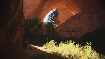 Andrew Bird - Echolocations: Canyon (Full Film)