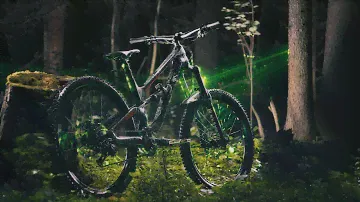 Байкчек моего Canyon Torque Al 5.0 2019