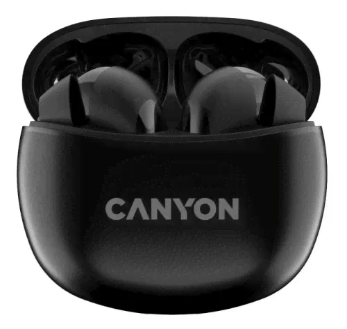 Беспроводные bluetooth наушники Canyon TWS-5 (DF1CNSTWS5B) Черный