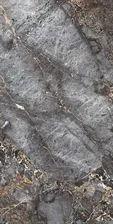 Primavera Canyon CR211 Grey Carving 60x120 - керамическая плитка и керамогранит