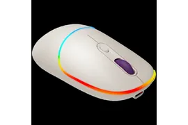 Двухрежимная беспроводная мышь Canyon MW-22 CNS-CMSW22RC