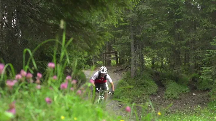 Canyon Grand Canyon AL SLX 9.9 - Features and Facts - English