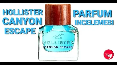 Hollister Canyon Escape // Deniz Temalı Meyveli Creed Aventus - Pahalı kokan ucuz Parfüm İncelemesi