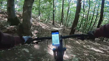 Having fun with my new Canyon Torque Al 7.0 at the Exelbergtrail on a perfect fall day.