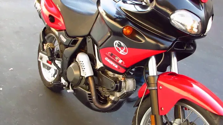 2000 Cagiva Gran Canyon : Terminogi Dual Exhaust