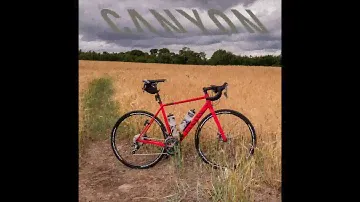 Building a Canyon Endurace AL Disc