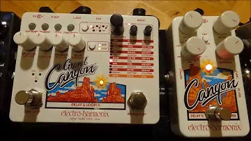 EHX Canyon & Grand Canyon - Octave + Pitch Delay demo