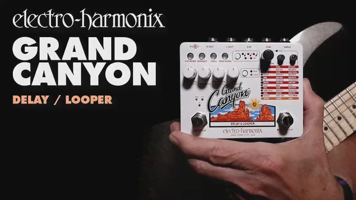 Electro-Harmonix Grand Canyon Delay / педаль Looper (демо Билла Рупперта)