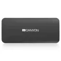 Портативное зарядное устройство Canyon CNE-CPB100 10000 мАч (черный)