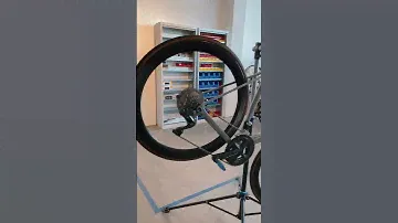 Canyon Ultimate CF SL 8 sound check!😍🔥 #short #canyonbikes #cycling #bikelover