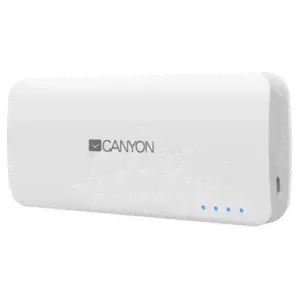 Зарядное устройство Canyon CNE-CPB100W-0