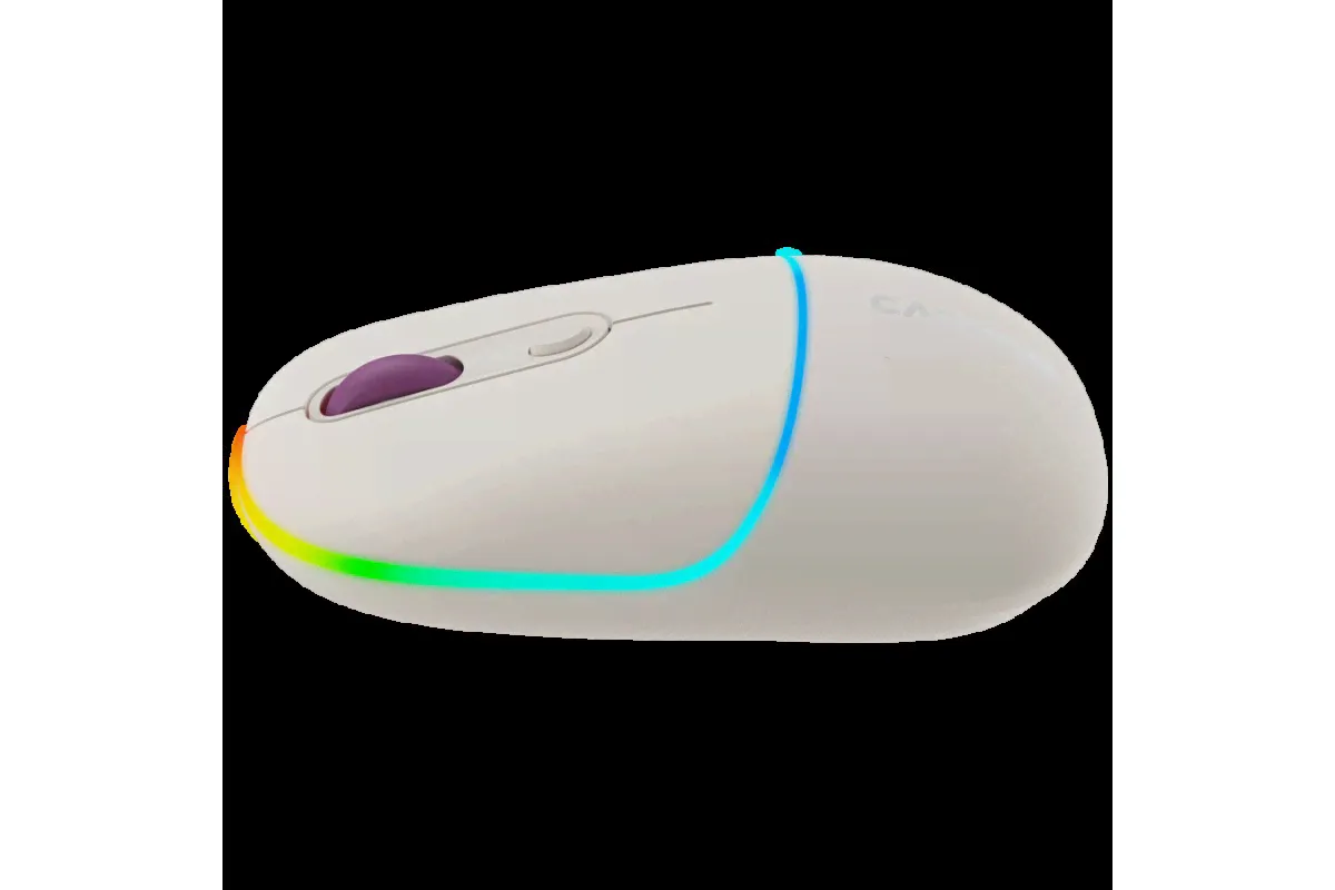 Двухрежимная беспроводная мышь Canyon MW-22 CNS-CMSW22RC-2