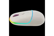 Двухрежимная беспроводная мышь Canyon MW-22 CNS-CMSW22RC