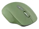 Мышь беспроводная Canyon MW-21 зелёный USB CNS-CMSW21SM