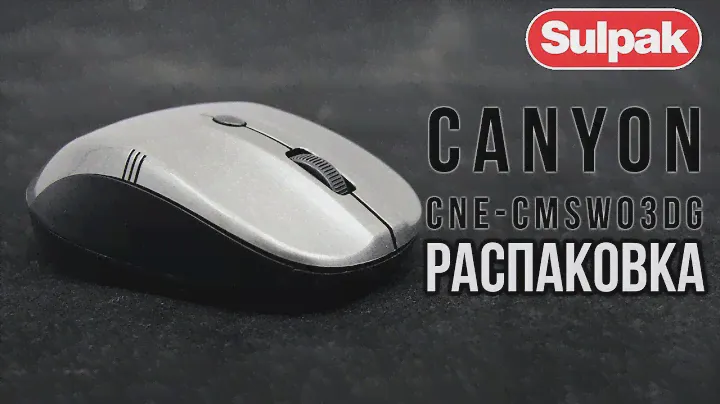 Мышь беспроводная Canyon CNE-CMSW03DG распаковка (www.sulpak.kz)