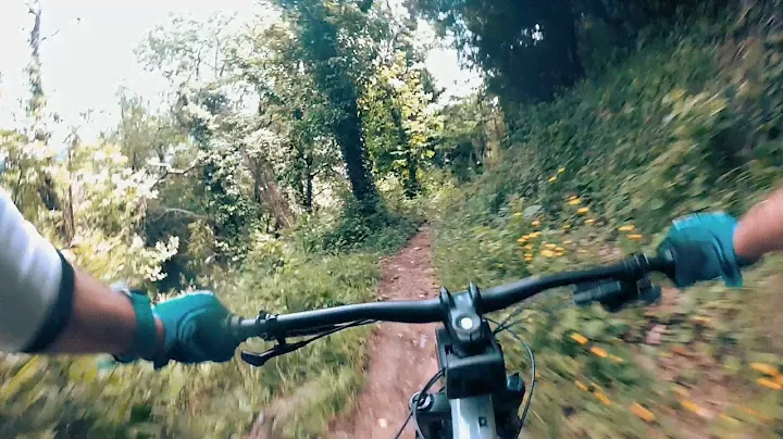 Canyon Stoic 3 - Trail and urban ride