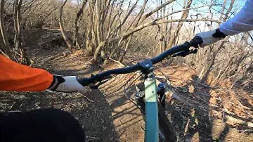 TEST - Canyon Stoic 2022