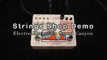 STRINGS SHOP DEMO : Electro-Harmonix Grand Canyon