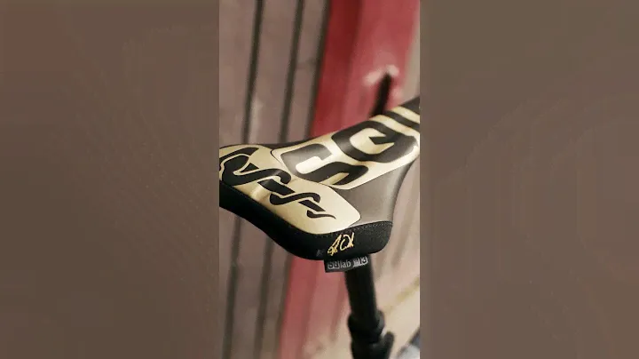 Fabio Wibmer´s Canyon Spectral AL 👀