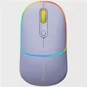 Мышка Canyon CNS-CMSW22 (фиолетовый) цена, купить в Москве, отзывы, характеристики, обзор