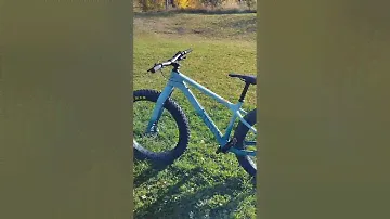 Canyon DUDE CF 8