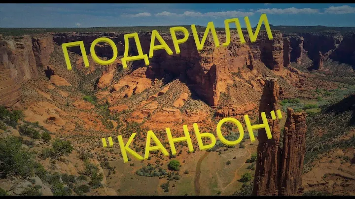 Подарили Canyon