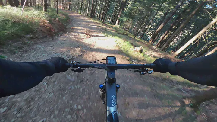 Home trails | CANYON Exceed CF SLX 8 2021 | MTB Slovenia