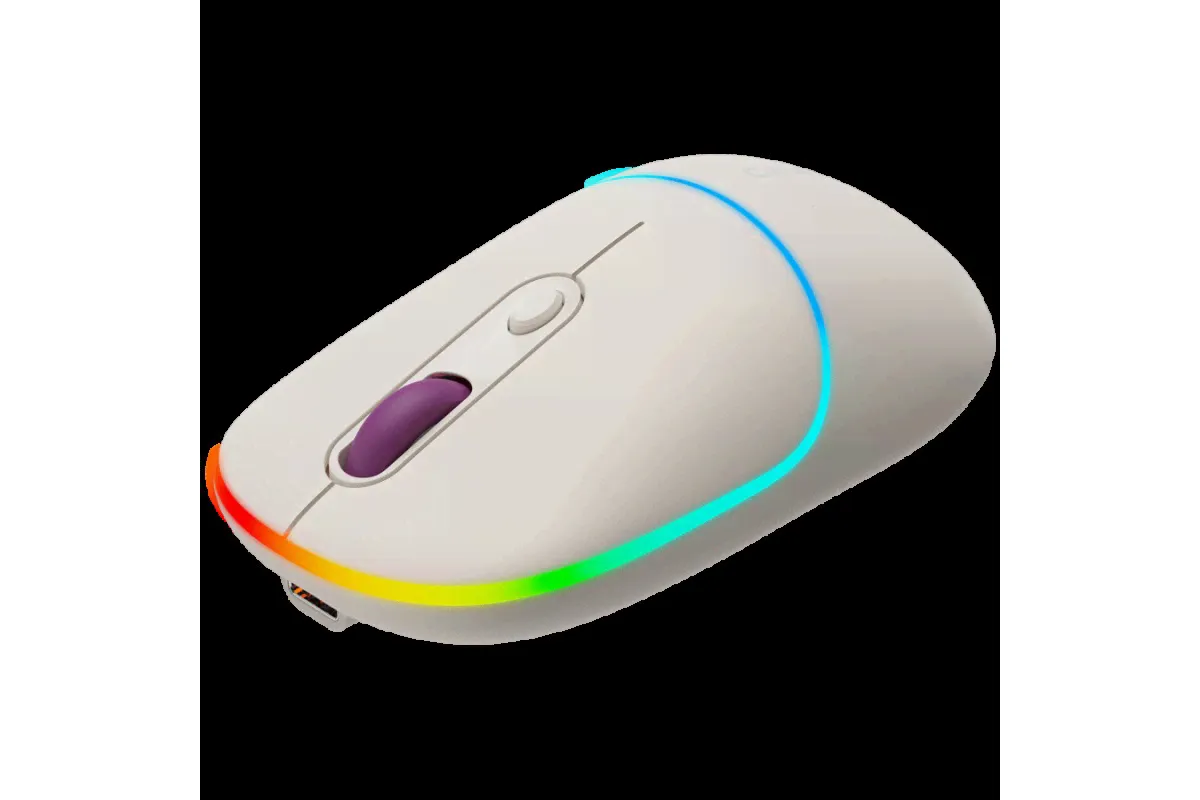 Двухрежимная беспроводная мышь Canyon MW-22 CNS-CMSW22RC-4